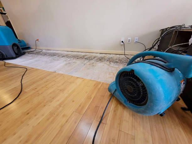 Professional Flood Damage Cleanup technician working in Westminster, CA